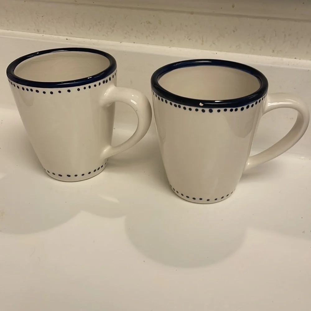 Pottery Barn cup mug set